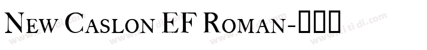 New Caslon EF Roman字体转换